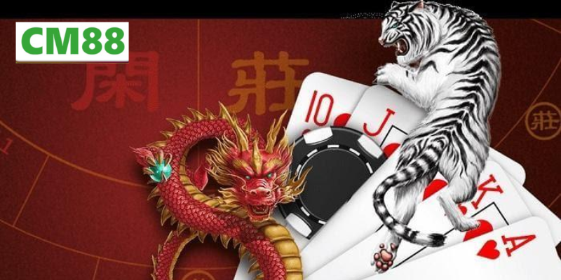 Cách chơi Rồng Hổ chi tiết theo từng bước